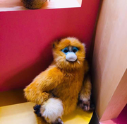 李光春的个人资料头像