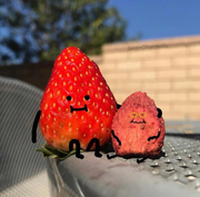 焦糖chocolate的个人资料头像