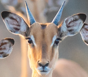 用户20260105的个人资料头像