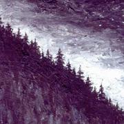 Lanigon的个人资料头像