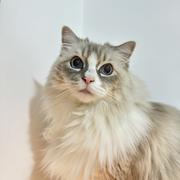 fddsvfrrg的个人资料头像