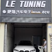 LETUNING肥猫汽车头像