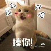 undefined的个人资料头像