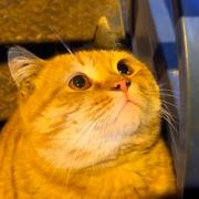 用户4837336574611的个人资料头像