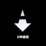 X神编程的个人资料头像