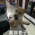 Younge丶头像