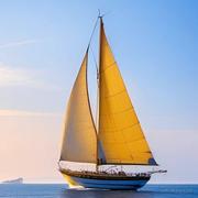 華XChai的个人资料头像