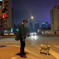 贝贝不懂车头像