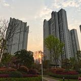 生存姿态头像