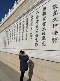 酷路泽lc300天津娜娜头像