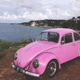 快乐黄骅2L5头像