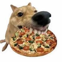 用户4161002033530头像