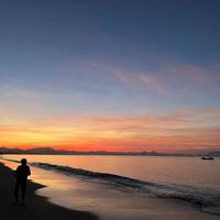 实在宁安1A头像