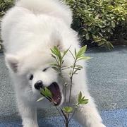 别管我了_讨厌调休版的个人资料头像