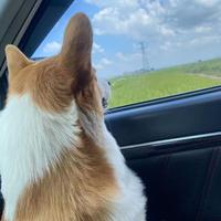 用户4849580035131头像