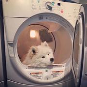 何遇i的个人资料头像