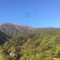玄天机675头像
