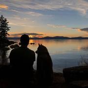 沉沦115的个人资料头像