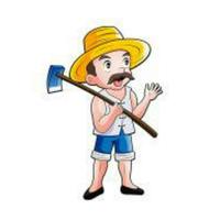 farmer399头像