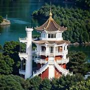 吃辣会头皮发麻的个人资料头像