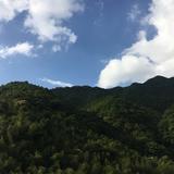 朱永华860头像