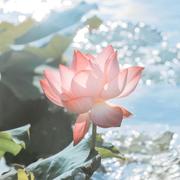 用户1441573596260的个人资料头像