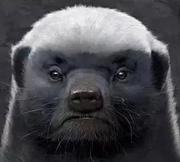 逍遥哈哈的个人资料头像