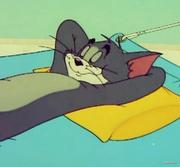 EvenSeven的个人资料头像