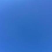 sufeng99的个人资料头像