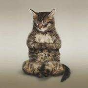 Jackiexiao的个人资料头像