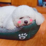 九筒大帝的个人资料头像