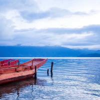 随风635014250923头像