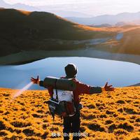 用户322596265306头像