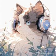 WilsonCHEN的个人资料头像