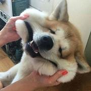 程序猿8的个人资料头像