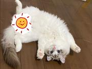 我要回幼儿园当学霸的个人资料头像