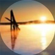 年年有余907的个人资料头像