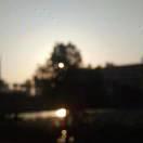 reqres的个人资料头像