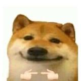 李华同学323头像