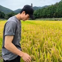 野行涛涛头像