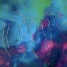 Island的个人资料头像