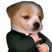 先吃三碗饭头像