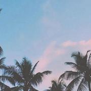 用户2161519138002的个人资料头像