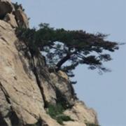 建耀的个人资料头像