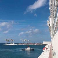 六月的天空如此之蓝头像