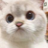 埋汰347头像