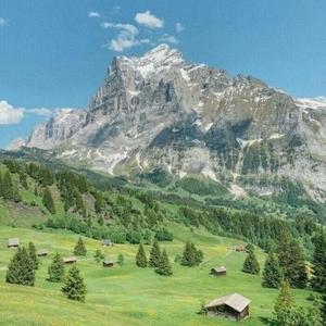 日久生情久厌情654a头像