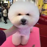 用户50963692106头像