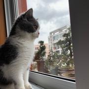 alfred406的个人资料头像