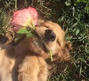 陷入繁林_的个人资料头像